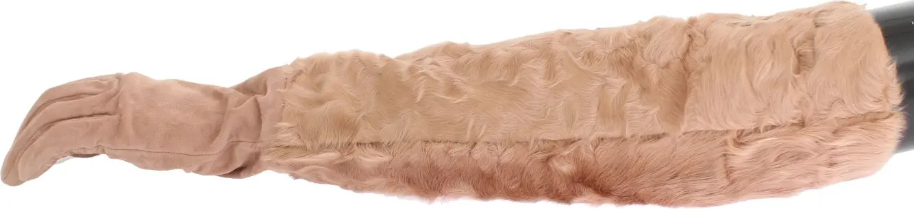 Gloves Dolce & Gabbana