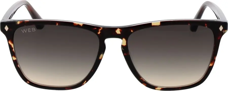 Sunglasses WEB