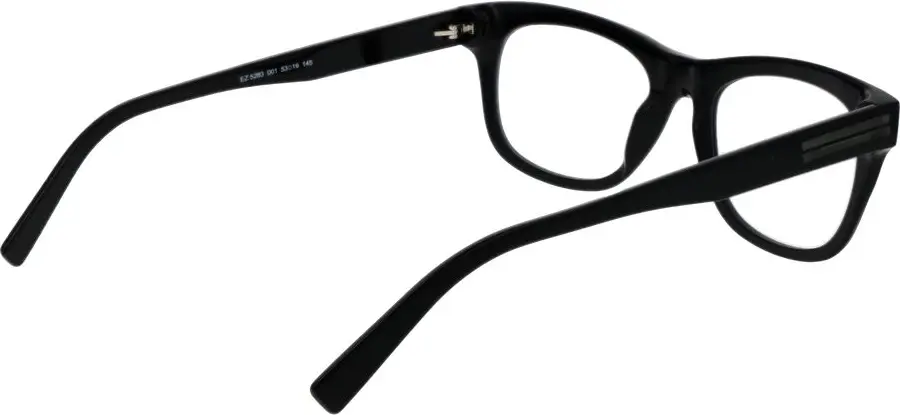 Brille Ermenegildo Zegna