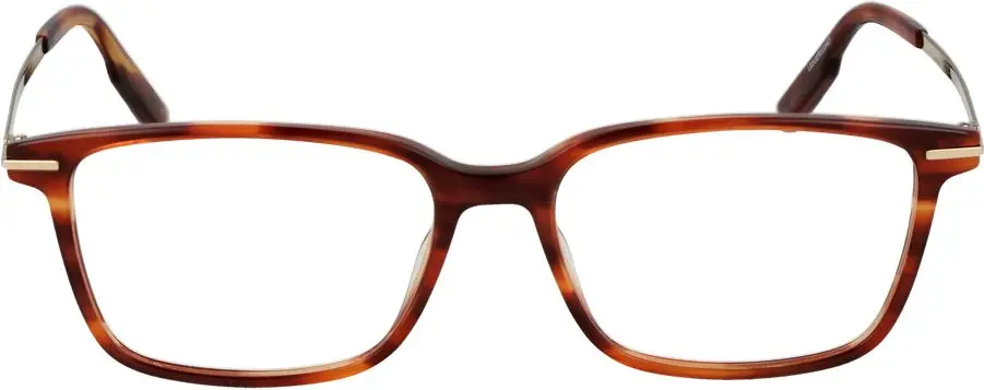 Brille Ermenegildo Zegna