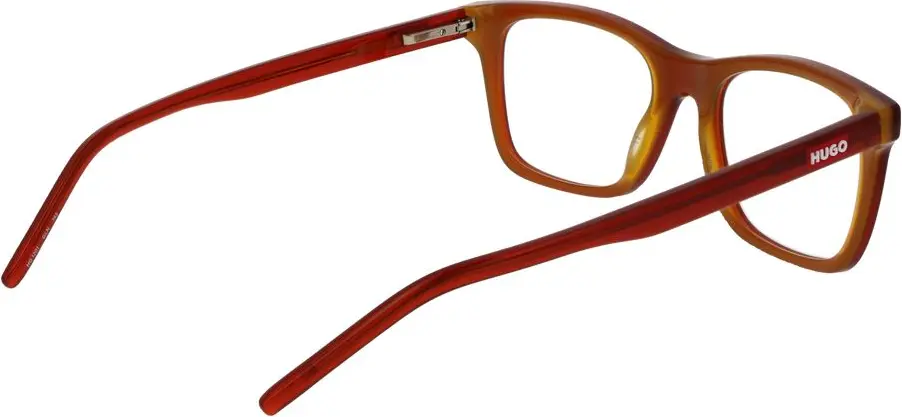Glasses Hugo Boss