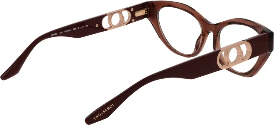 Braune Acetat-Brille (Gestell) Trussardi