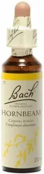 Mother Tincture Schwabe Pharma Hainbuche Original