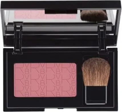 Powder Compact RvB Labs Blush Brushes