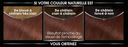 Hair Dye Garnier Olia